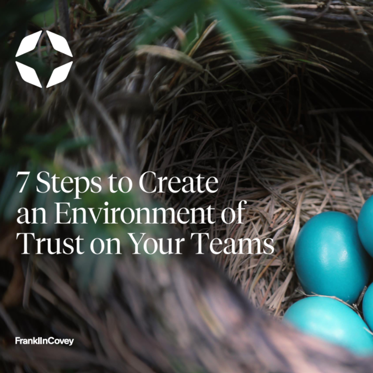 7 Steps to Create an Environment of Trust on Your Team - FranklinCovey ...